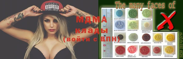 стаф Белокуриха