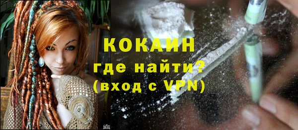 стаф Белокуриха