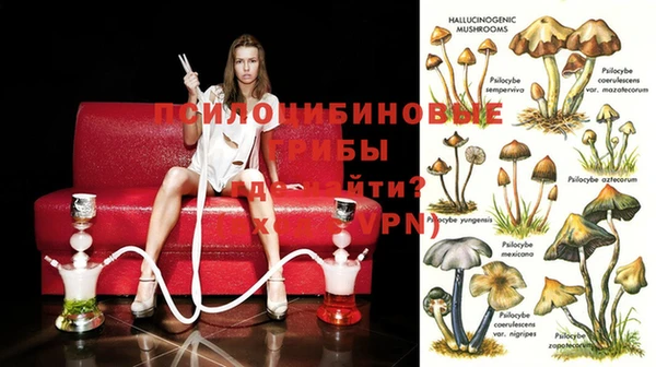 стаф Белокуриха