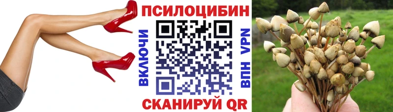 MEGA рабочий сайт  Пыть-Ях  Псилоцибиновые грибы прущие грибы 